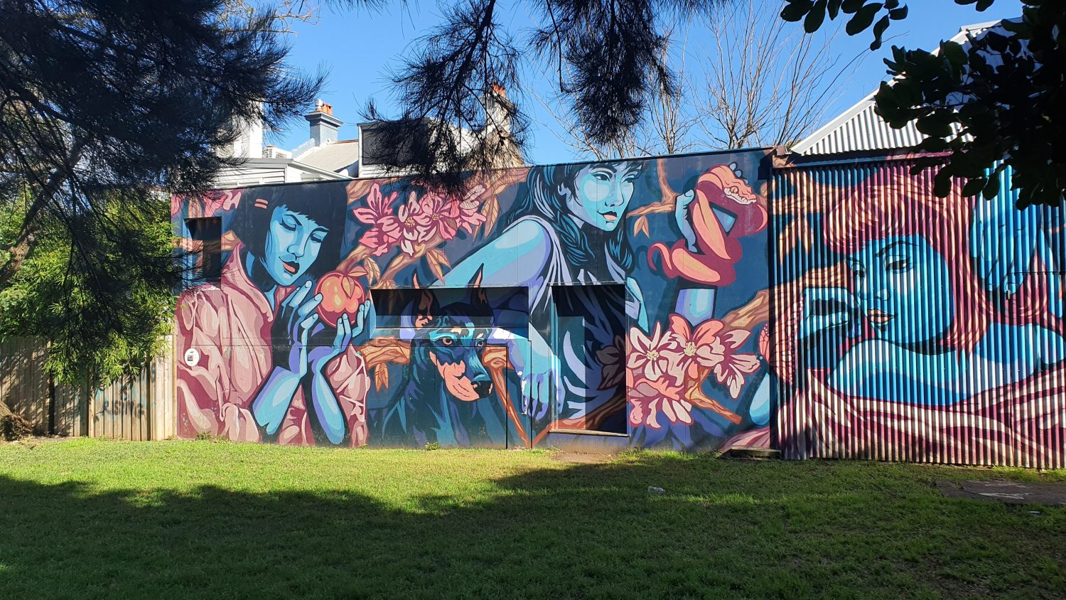 Camperdown Memorial Rest Park (North) Street Art Sydney Art Out Live