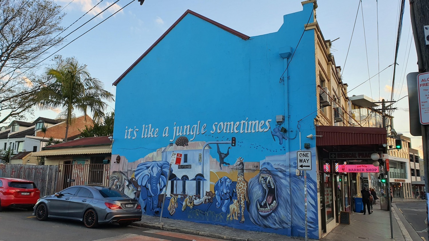 Bailey Street (North) Newtown Street Art Sydney Art Out Live