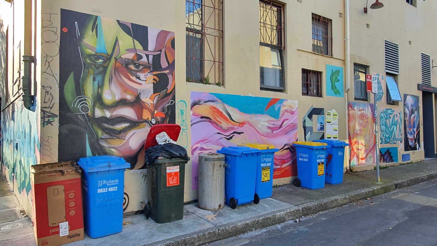 Goddard Street (West) Newtown Street Art Sydney Art Out Live