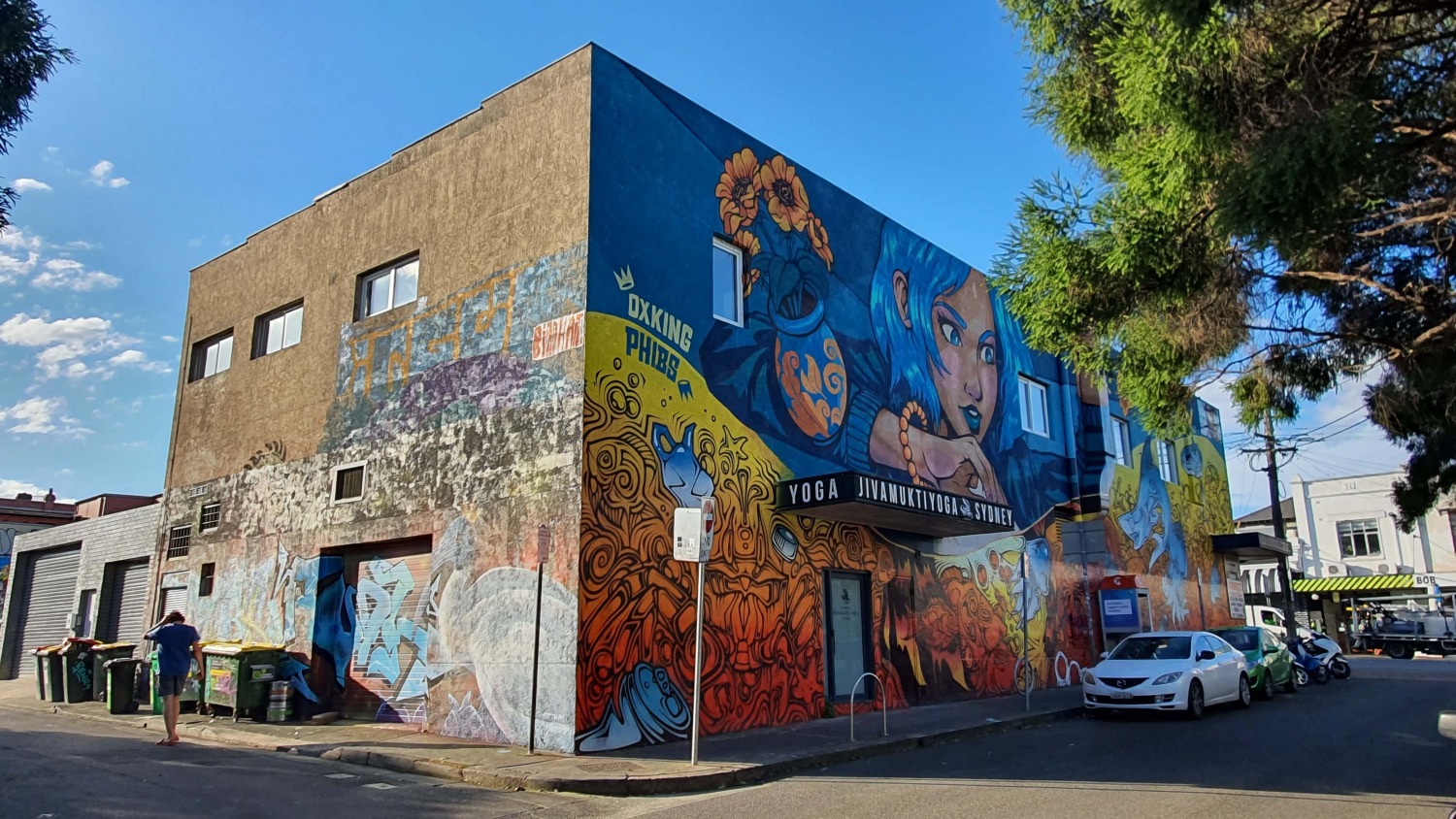 Holt Street (East) Newtown Street Art Sydney Art Out Live