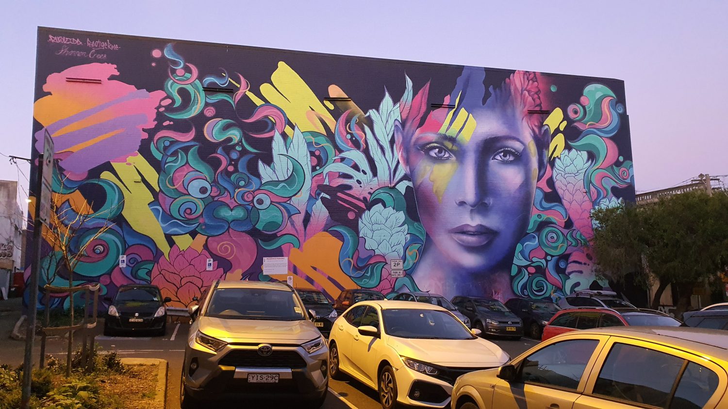 Wilson Street Newtown Street Art Sydney Chippendale Live