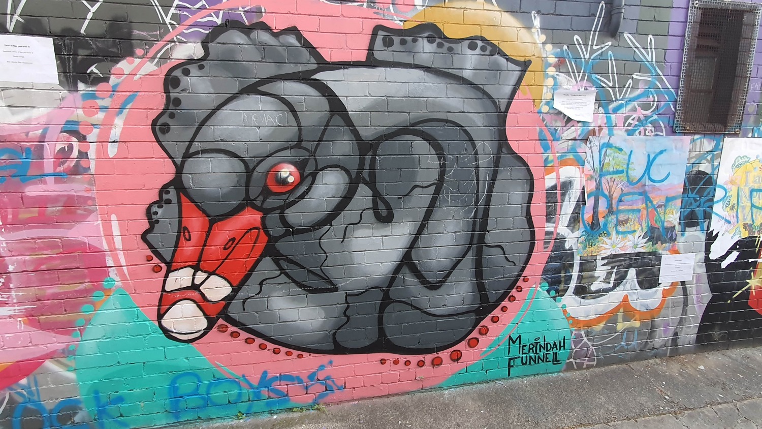 Cope Street (West) Newtown Street Art Sydney Art Out Live (9) Cope Street (West) Newtown Street Art Sydney Art Out Live (9)