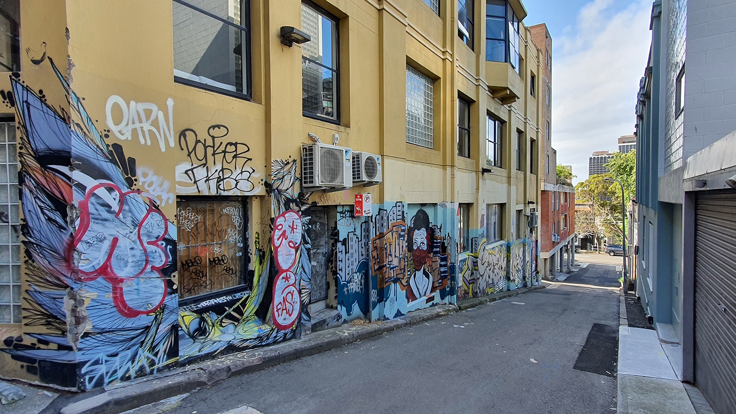 Foley Street Darlinghurst Street Art Sydney Art Out Live (2)