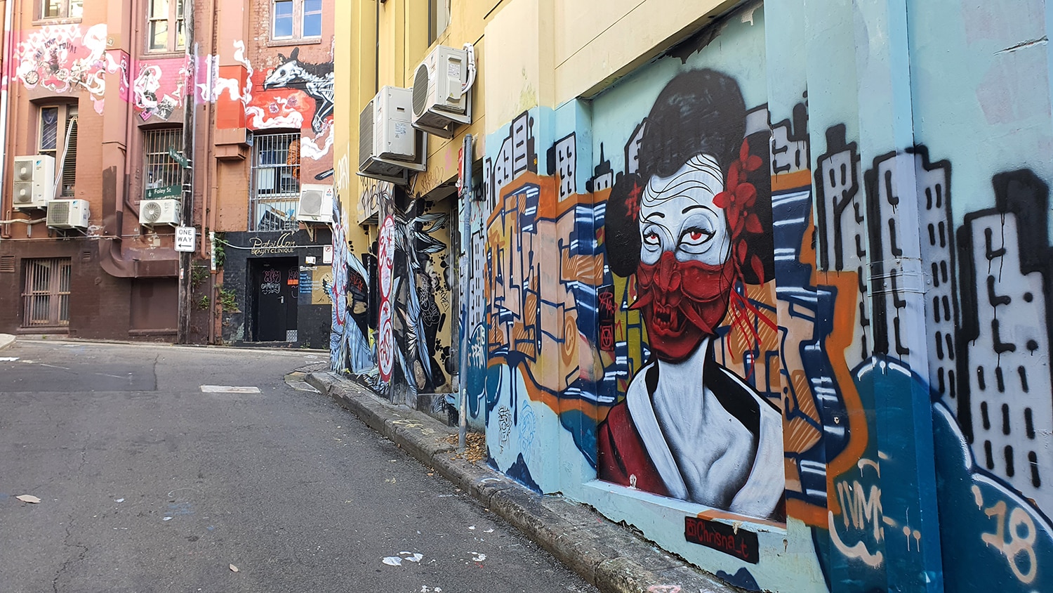 Foley Street Darlinghurst Street Art Sydney Art Out Live (3)