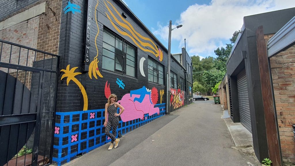 Hudson Street Redfern Street Art Sydney Art Out Live Aley Wild Mural
