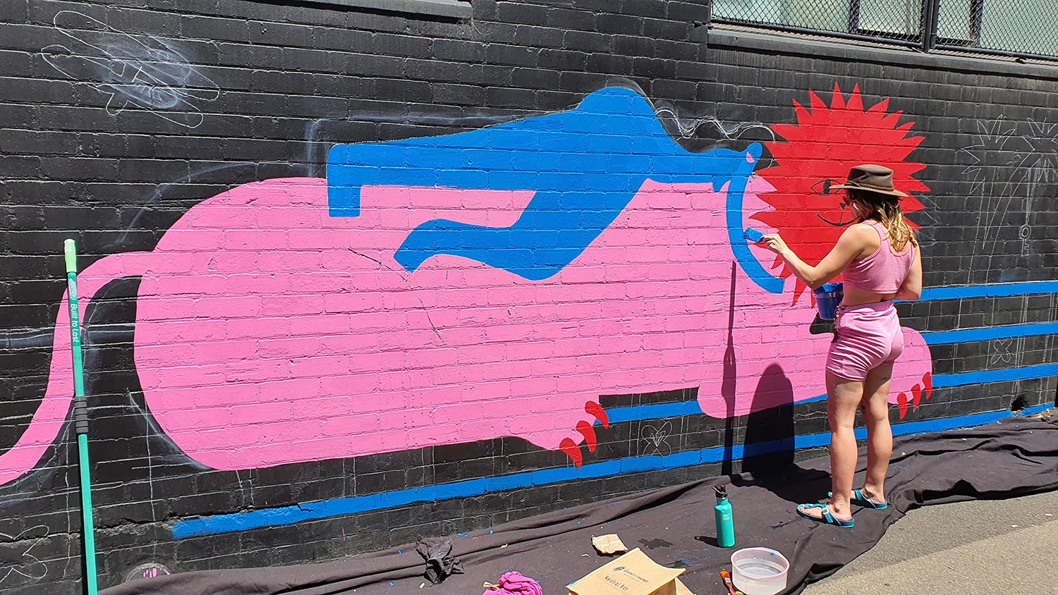 Hudson Street Redfern Street Art Sydney Art Out Live Aley Wild Mural 6
