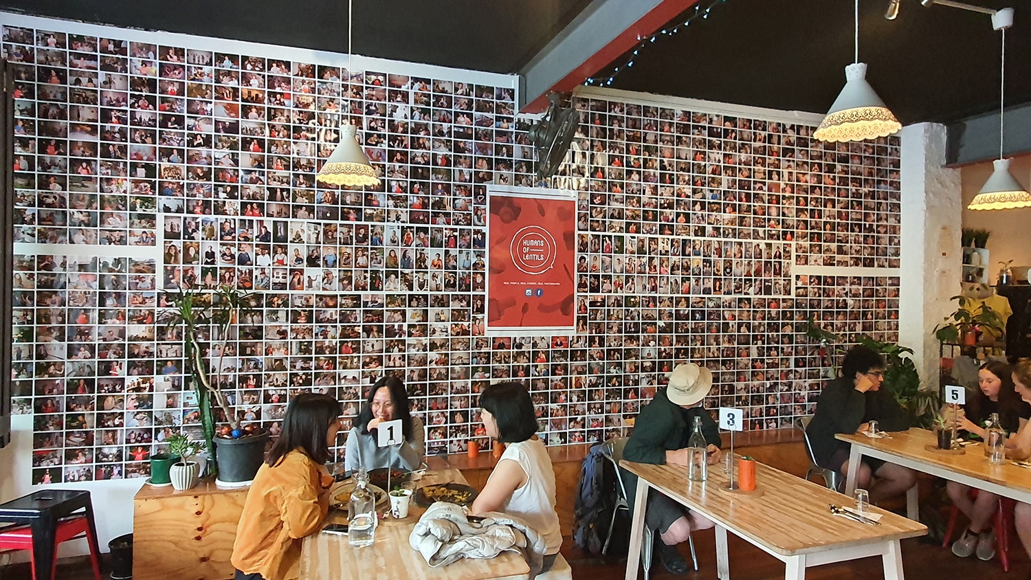 Lentil As Anything Newtown Cafes Bars Sydney Art Out Live December 2020