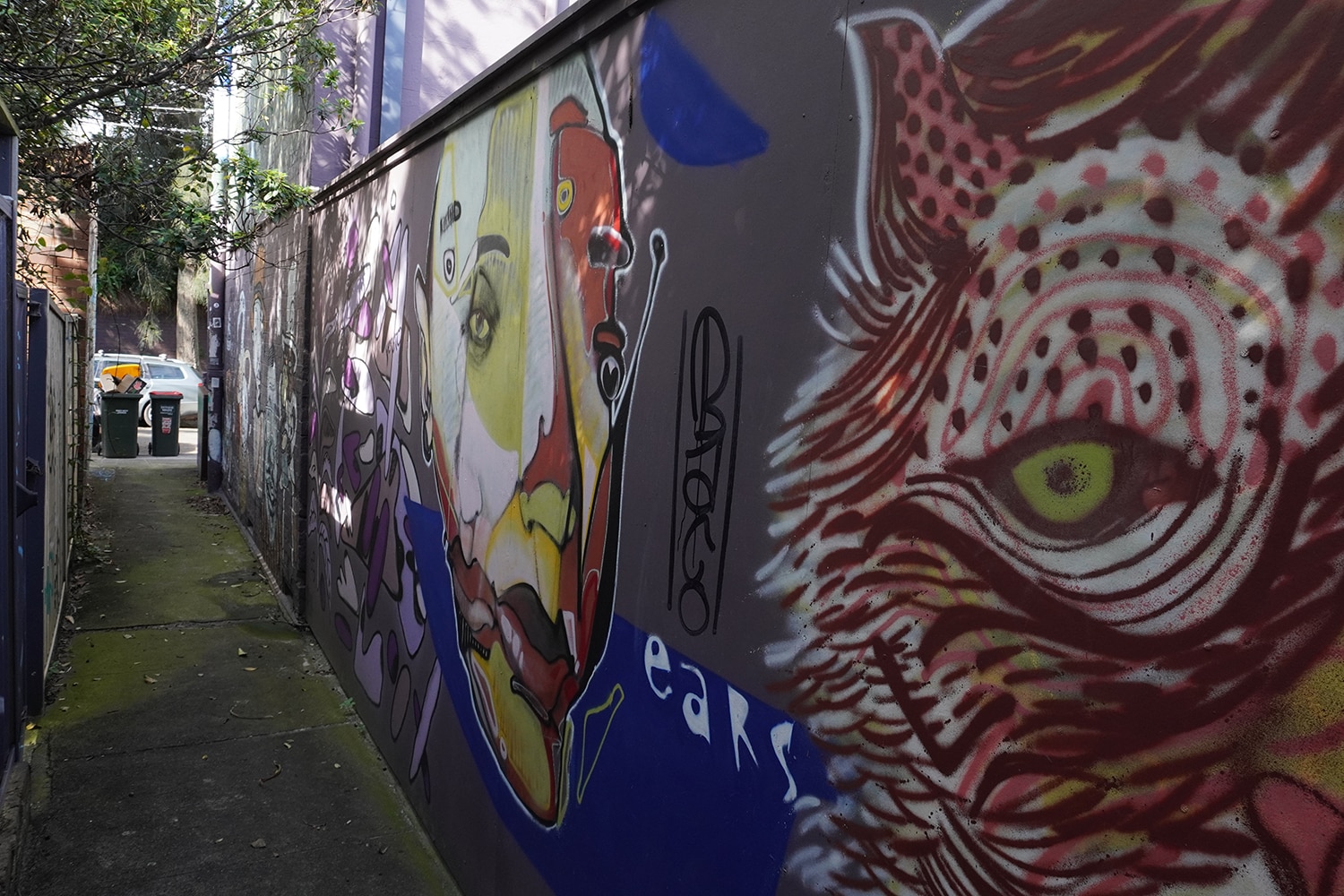 Dass Lane Enmore Street Art Sydney Art Out Live 1 Captain Earwax