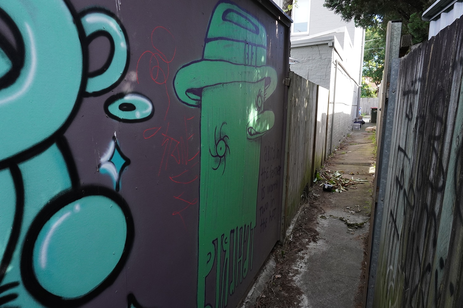 Dass Lane Enmore Street Art Sydney Art Out Live 2 Captain Earwax