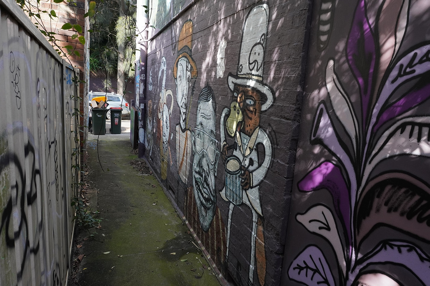 Dass Lane Enmore Street Art Sydney Art Out Live 3 Captain Earwax