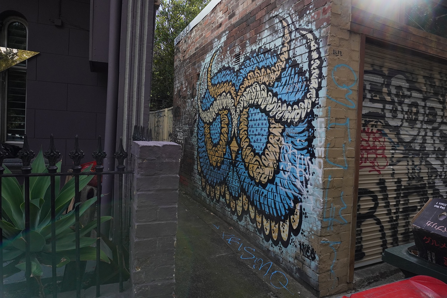 Dass Lane Enmore Street Art Sydney Art Out Live 7 Captain Earwax