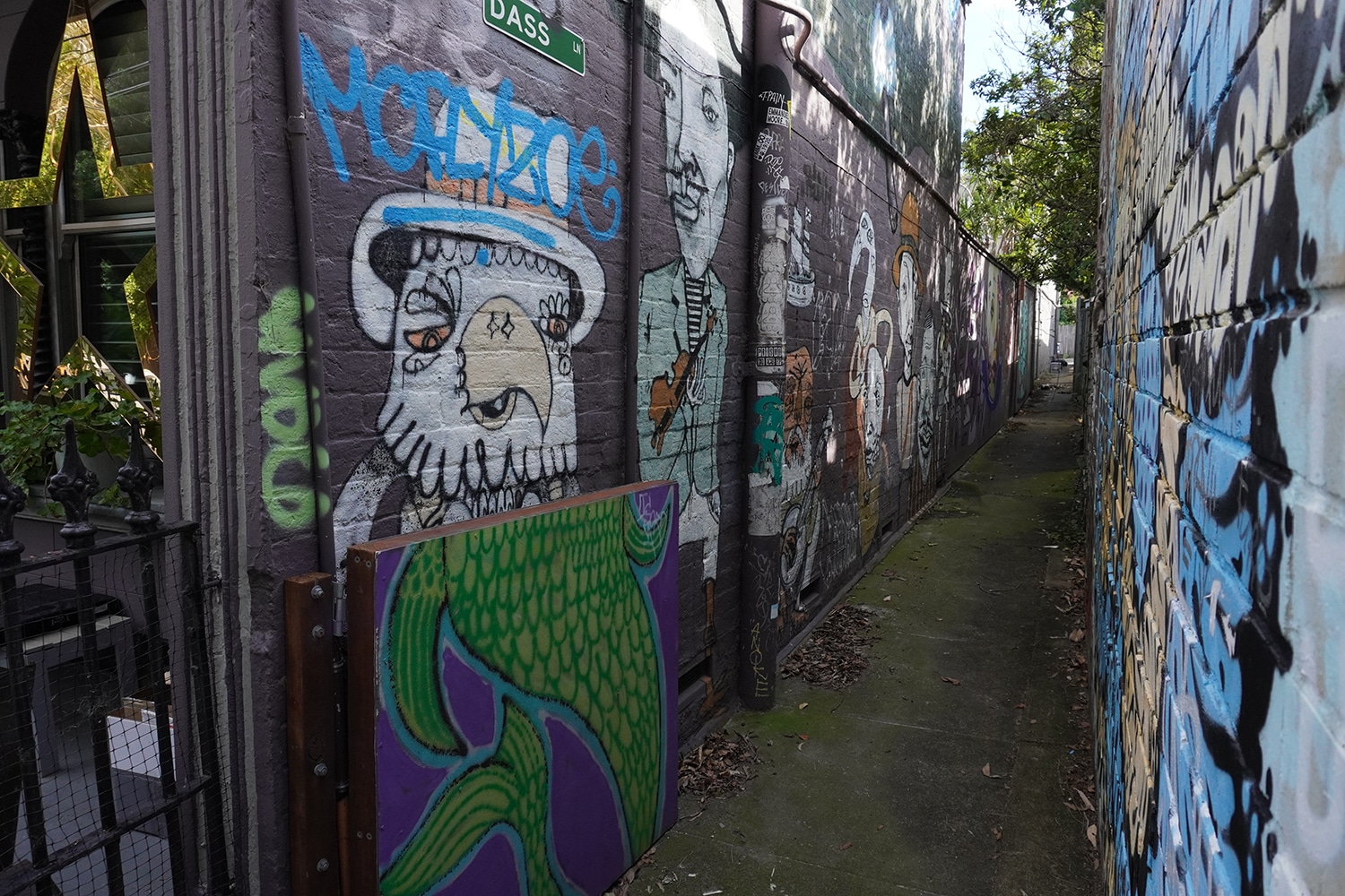 Dass Lane Enmore Street Art Sydney Art Out Live Captain Earwax