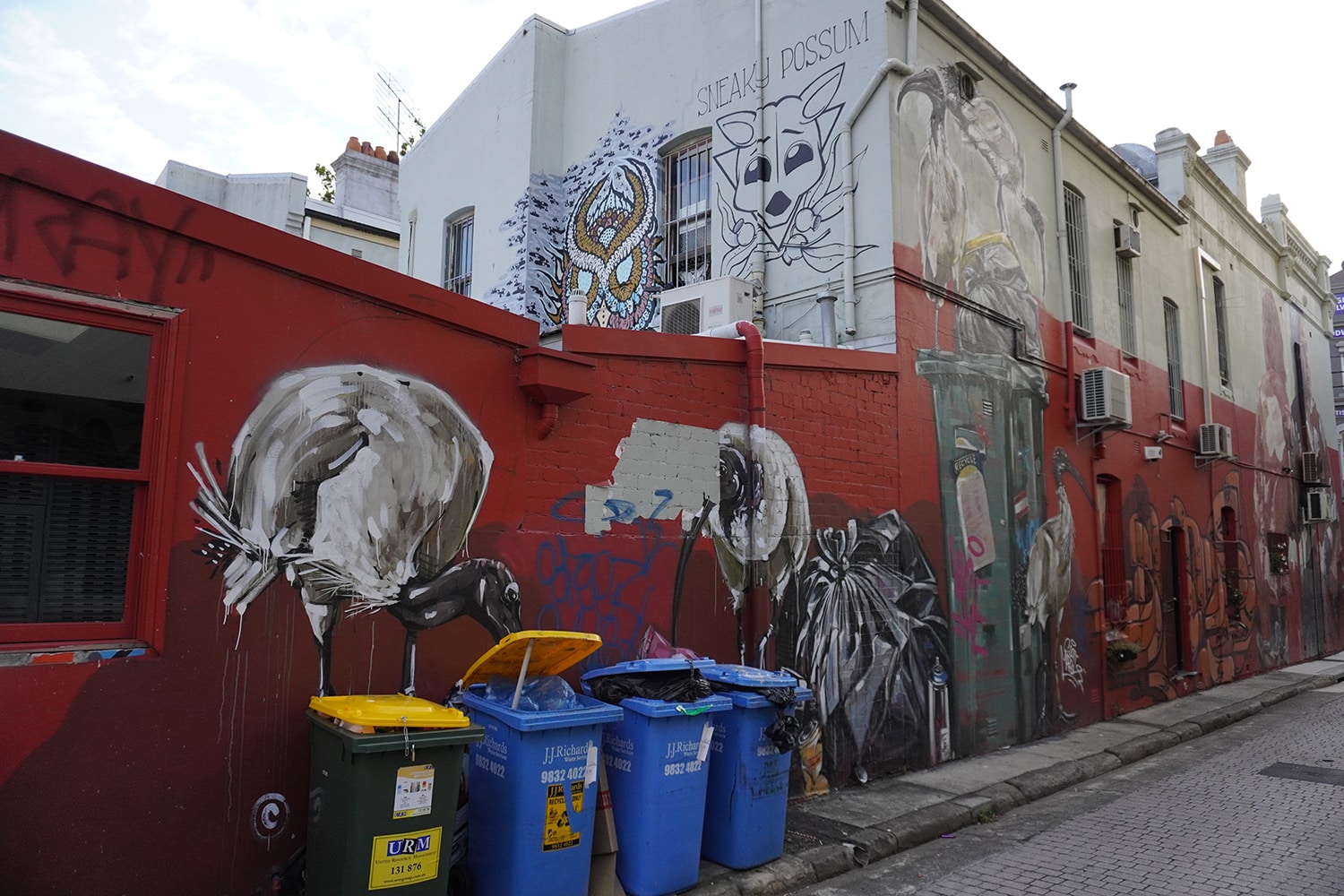 Teggs Lane Chippendale Street Art Sydney Art Out Live January 2021 Scottie Marsh